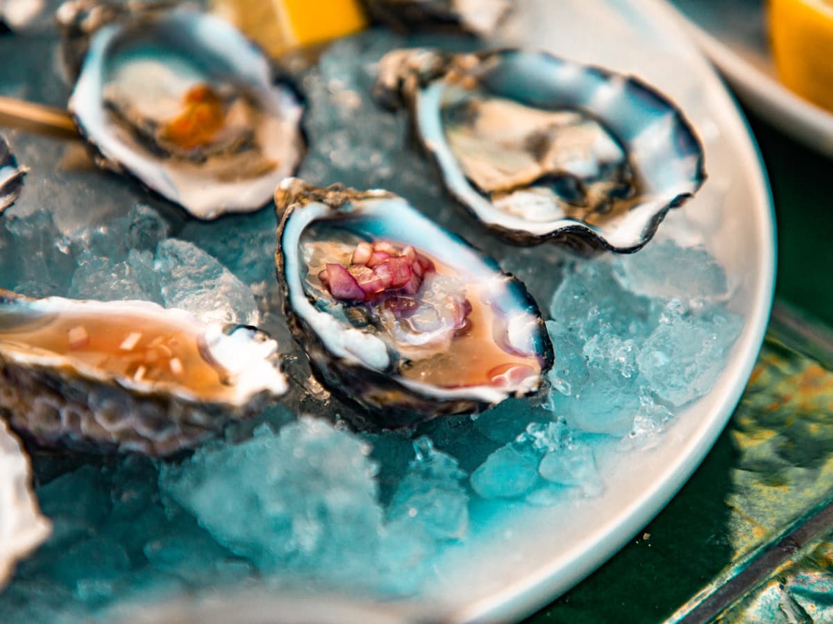East Coast Oysters (6 or 12)